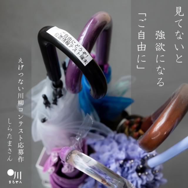 2025年2月13日の一句