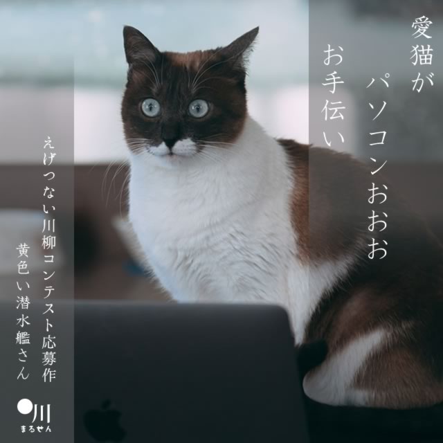 2025年3月2日の一句