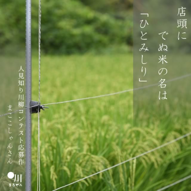 2025年3月17日の一句
