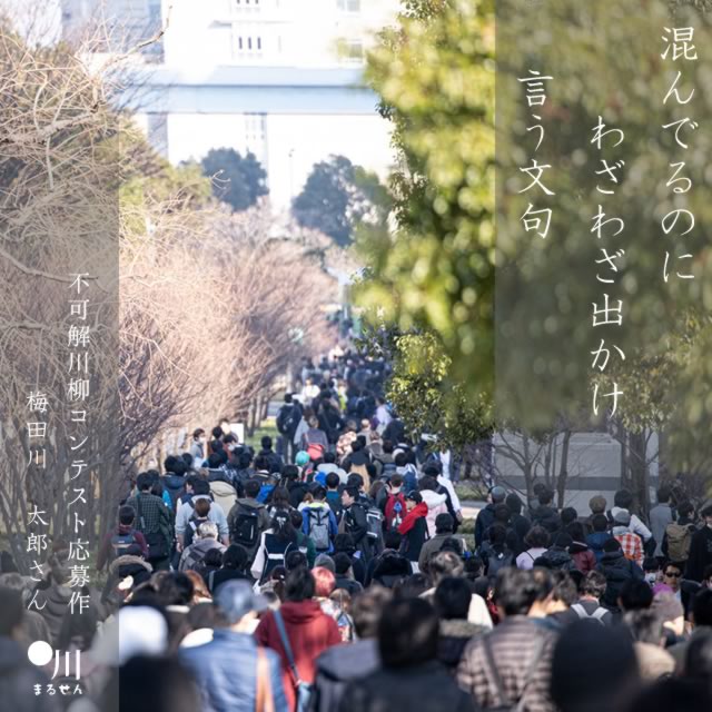 2025年5月5日の一句