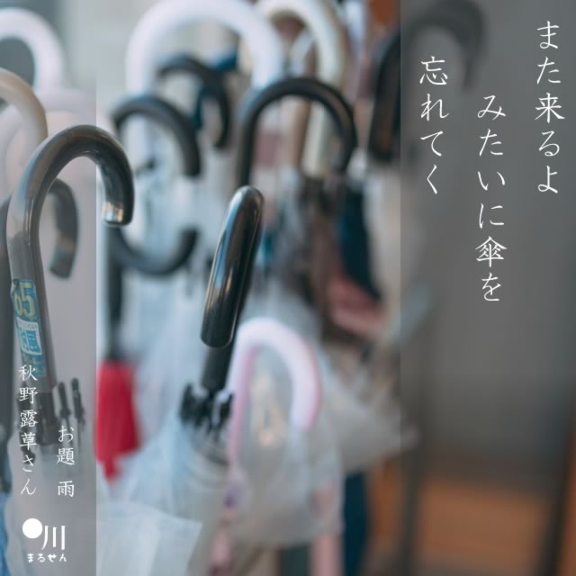 2025年5月8日の一句