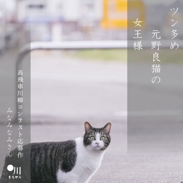 2025年5月23日の今日の一句