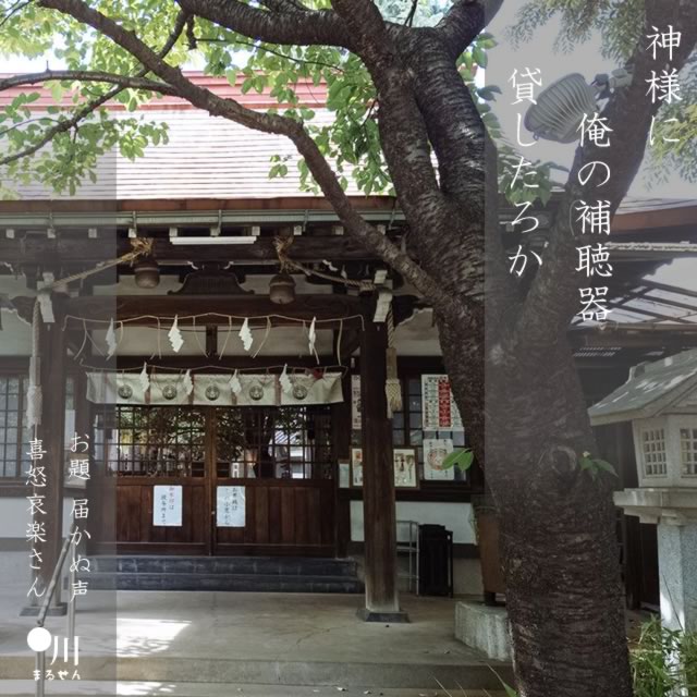 2025年5月25日の一句