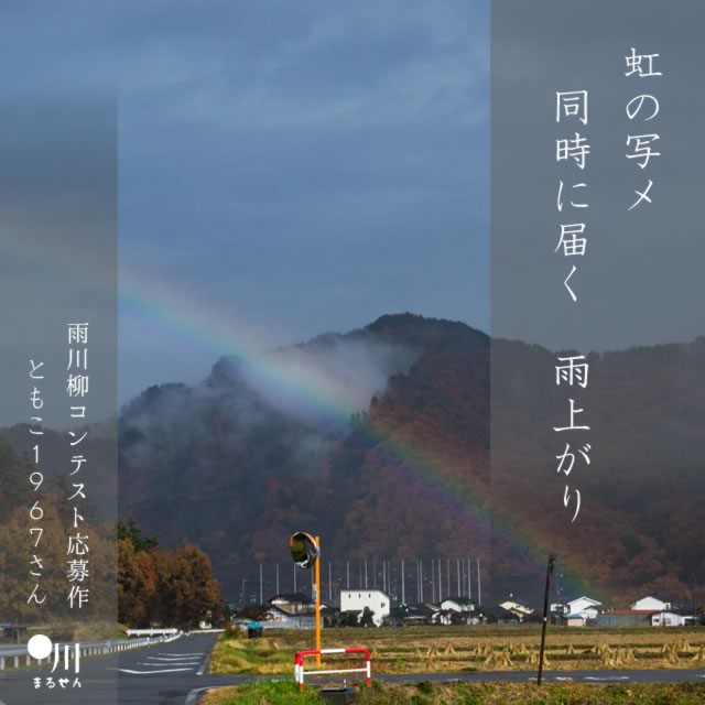 2025年6月28日の一句