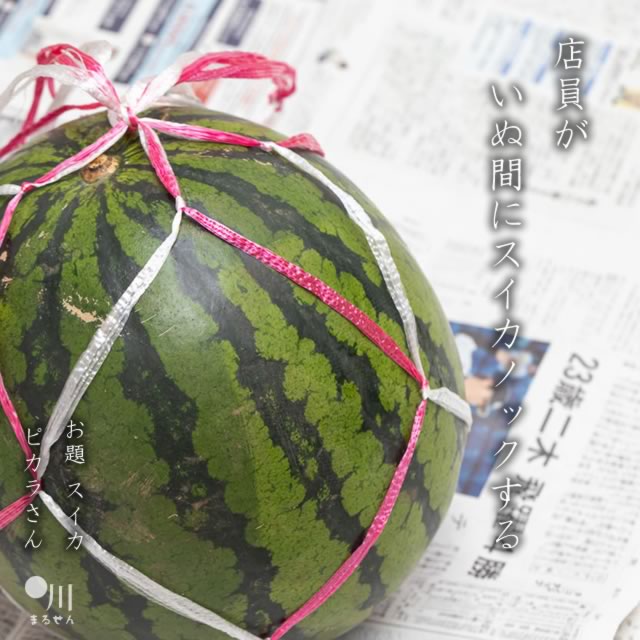 2025年7月14日の一句