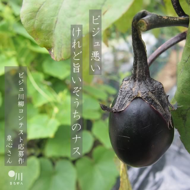 2025年8月1日の今日の一句