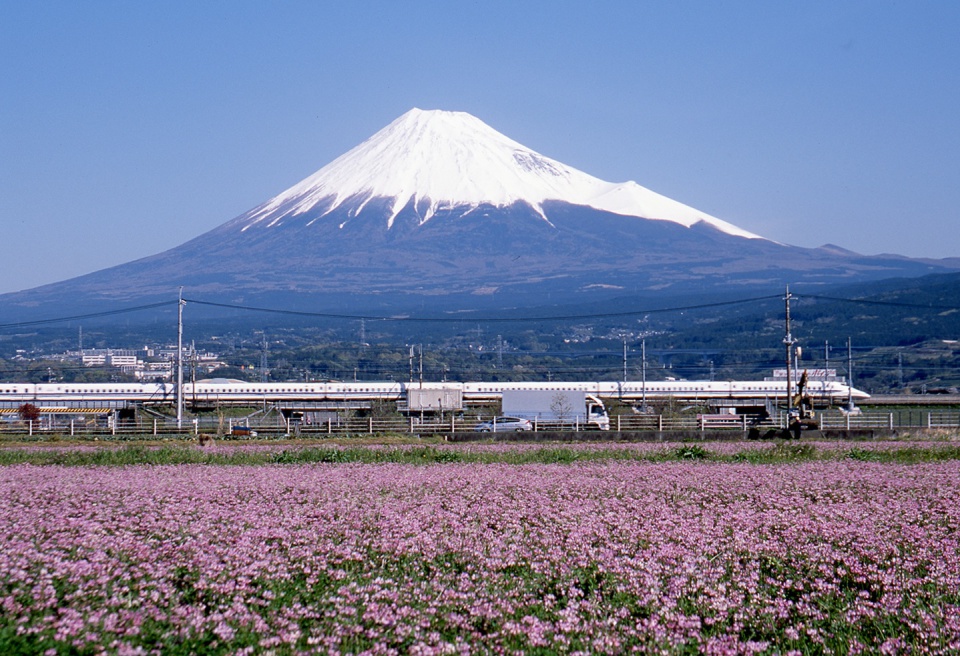 迷っても  北が富士山 道しるべ