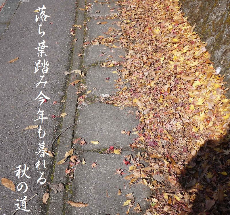 落ち葉踏み今年も暮れる秋の道