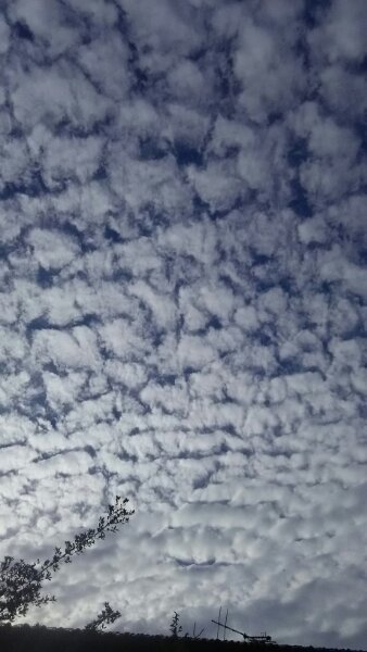 レア度４　空に見事な羊雲