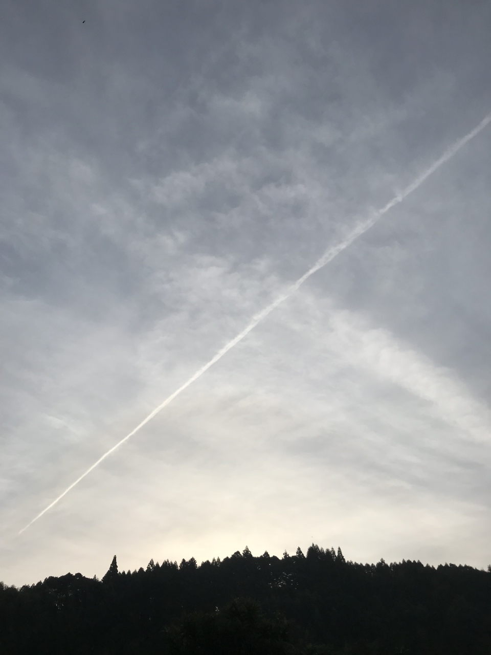 朝空に 真っ直ぐ伸びる 飛行機曇