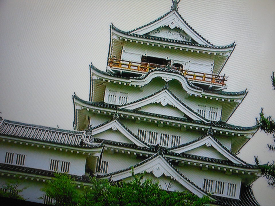城ならば　姫路松本　ゴンの小屋
