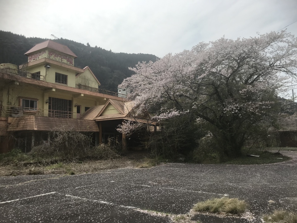 春が来た　建物廃墟も　桜は咲く