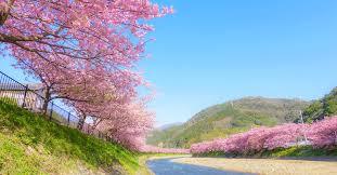 青い空      桜はピンク     山みどり