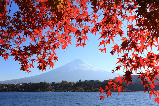富士山が　くれる雅な　四季の顔